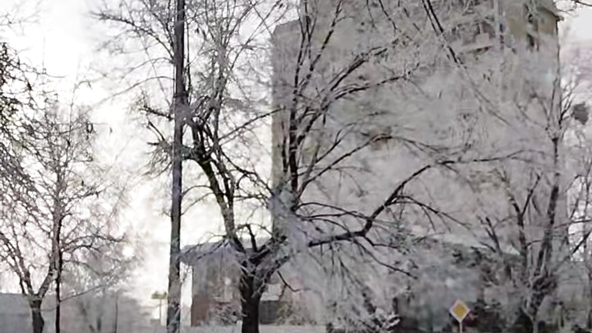 Asmr walking on snow and snow trees - video by lovely_nekochan cam model