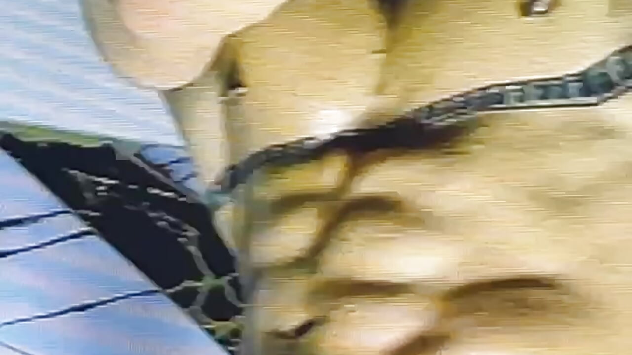 Sensual flexdance - відео від вебкаммоделі Alex_Teau