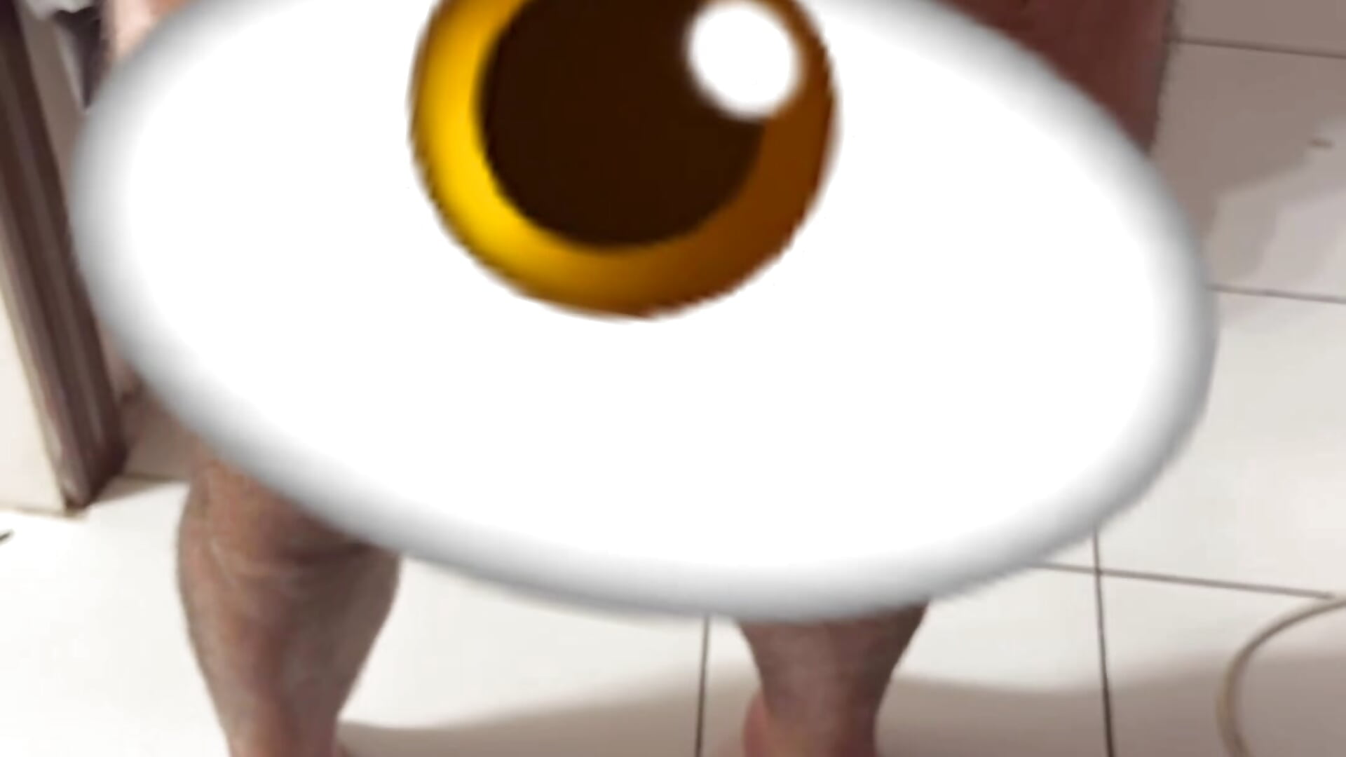 filtered-FF25A92F-D0D6-436E-AA9B-AA2BA1B3253D - video by Johnwickkkh cam model