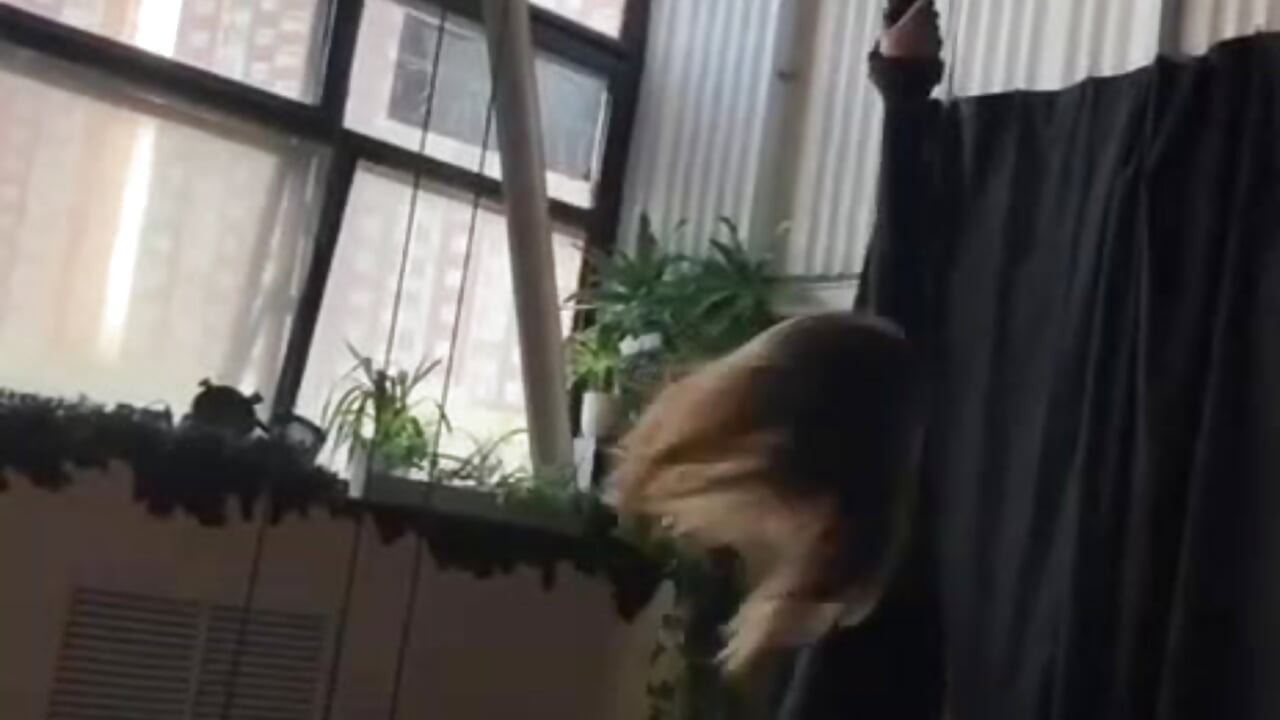 a bit more about me - video by bloomweb cam model