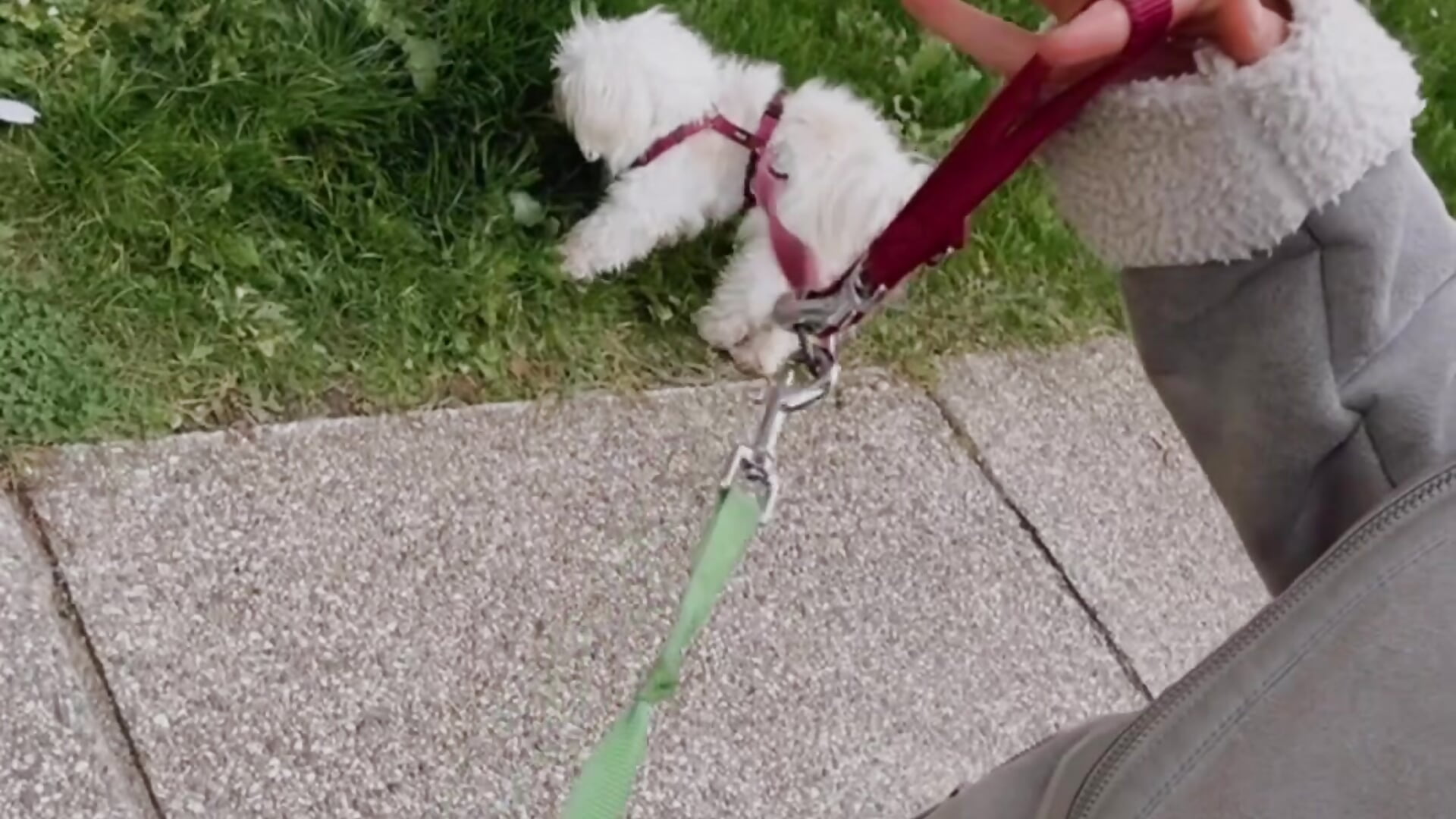 2d70762bd9ee45dc8fa6bed476e67917 - video di Antoniacanny modella di cam