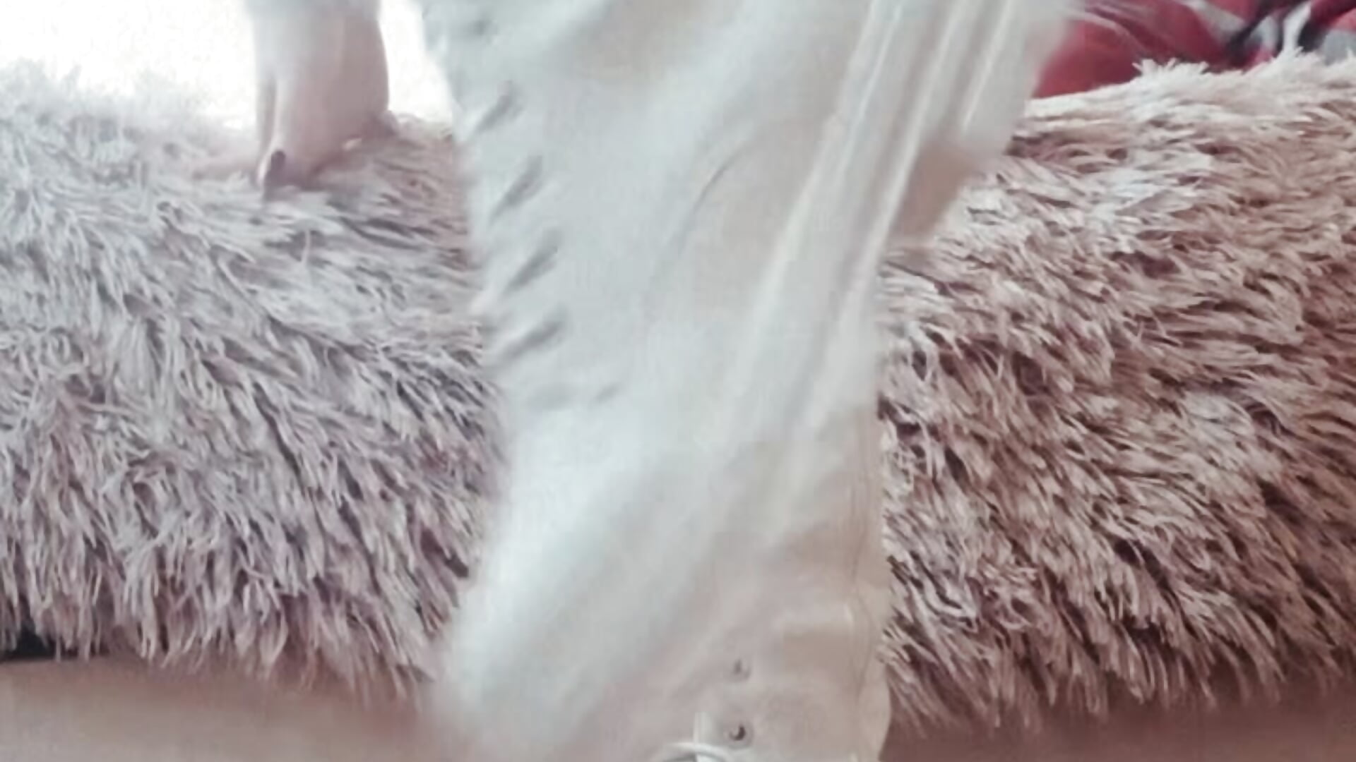 99adecb610904fe3a04dd803cbacded5 - video di Antoniacanny modella di cam