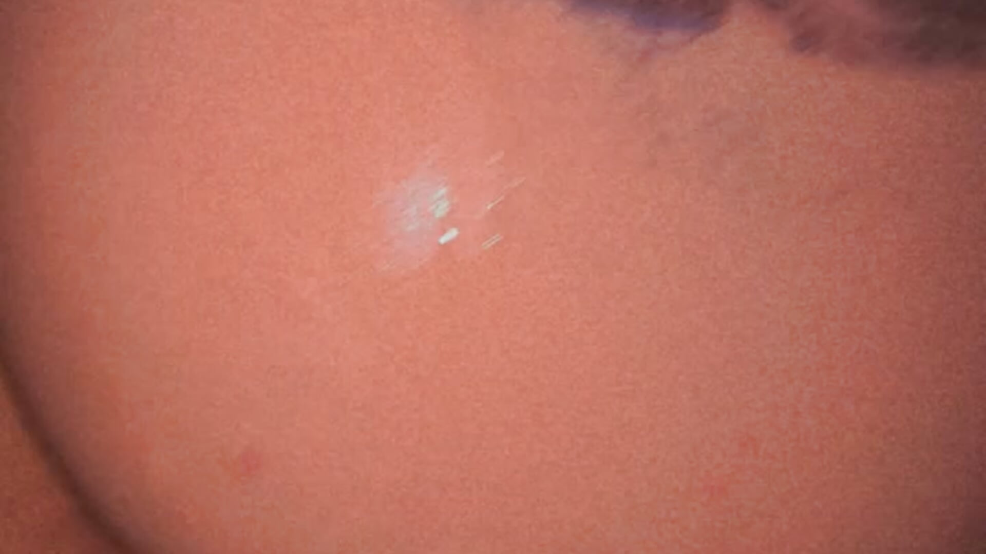 Sperma😍💦🍆 - video di Antoniacanny modella di cam