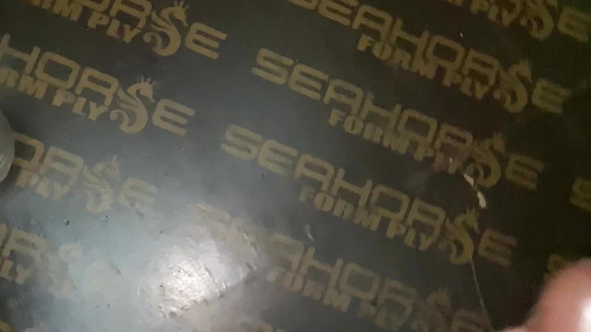 IMG_1447 - video by Jo-shua cam model