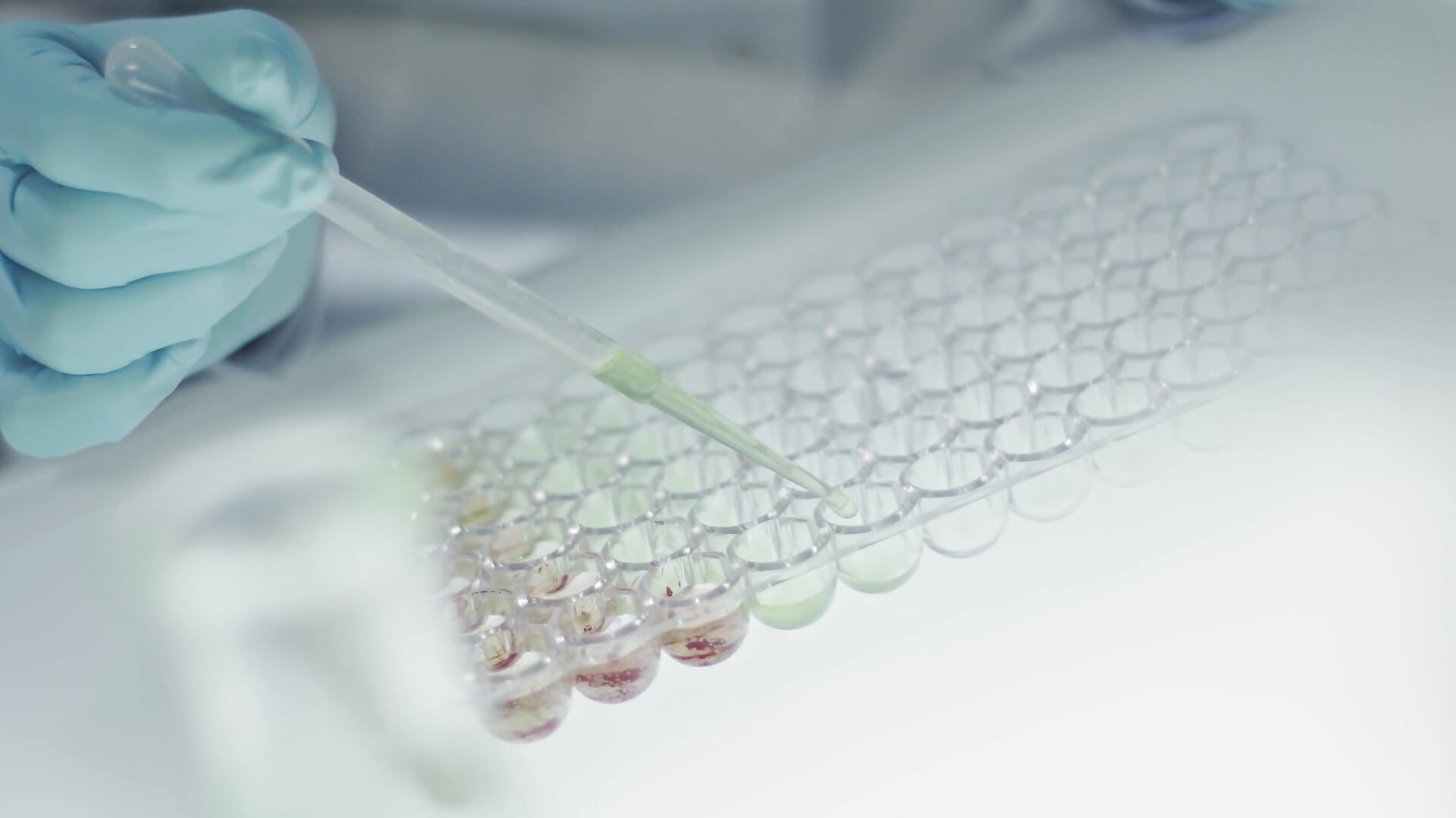 paid or fanclub - ক্যাম মডেল test_model123-এর ভিডিও