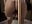 Dildo play in shower 😈💦 - video by EvaRoss_ cam model