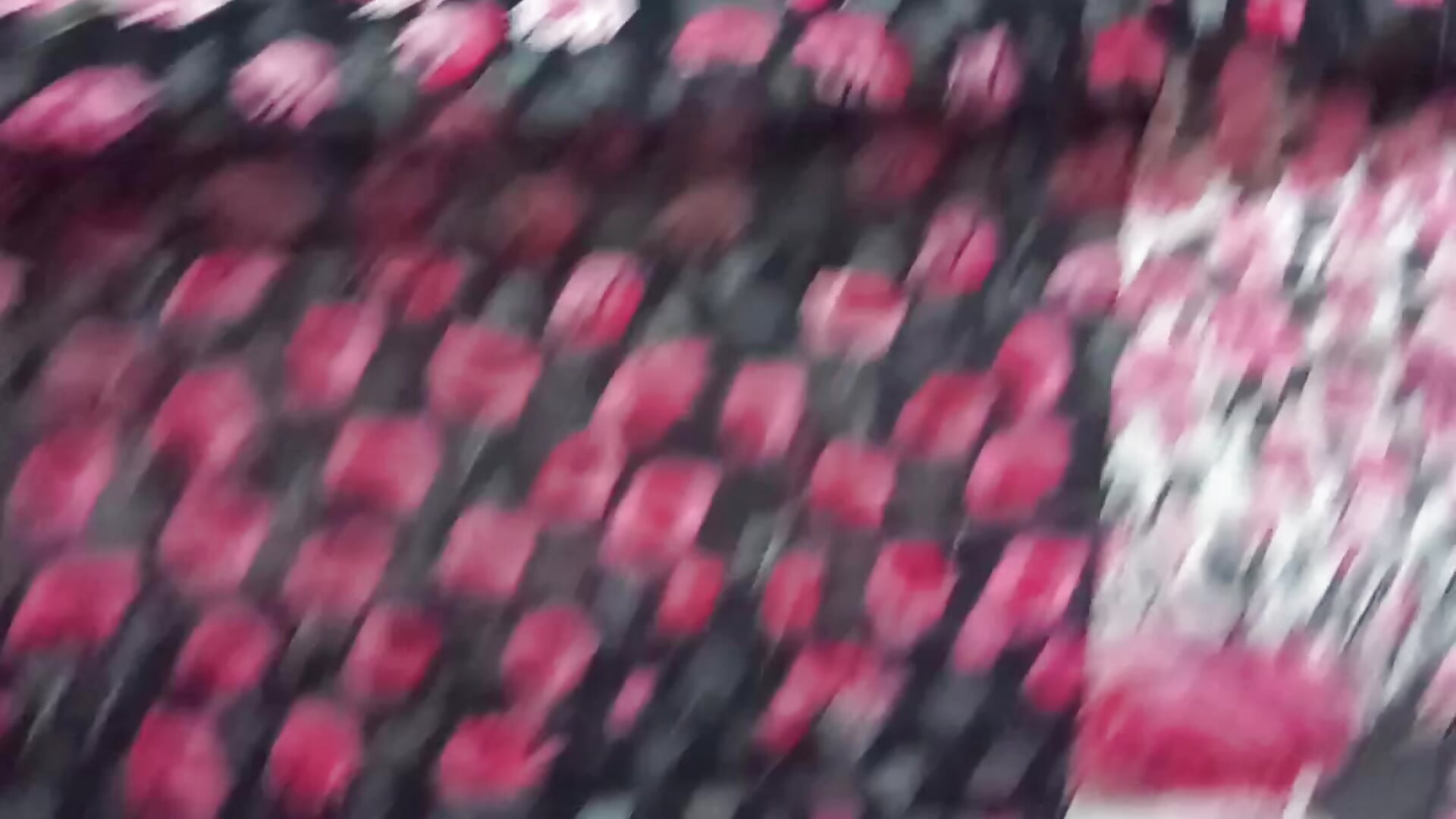 20241119_164942 - Vídeo de Mariadelbairro, modelo de vídeos