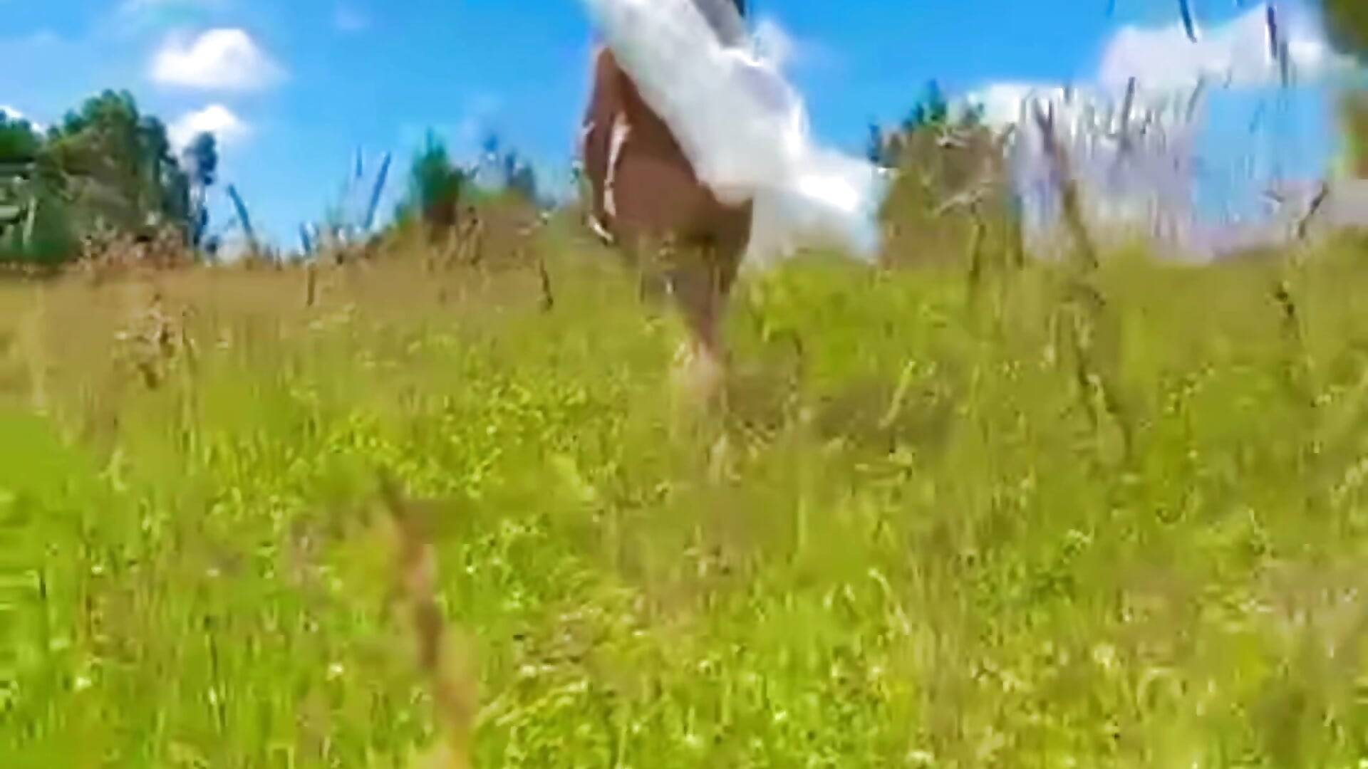 field day - video by Ashly_Roberths cam model