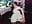 ✨WET DRESS, OIL, AND SLOPPY TOP part 1✨ - marleymaxwell 的视频