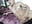 cum bB - clip cu jacques_cardiet