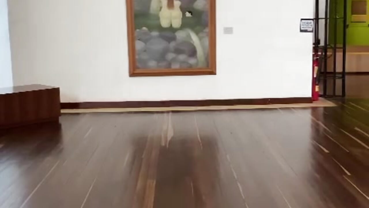 🎀Museum night - video by Irina_bx cam model