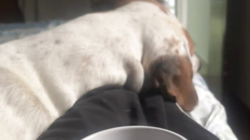 💟out of everything! 💞 - video by Irina_bx cam model