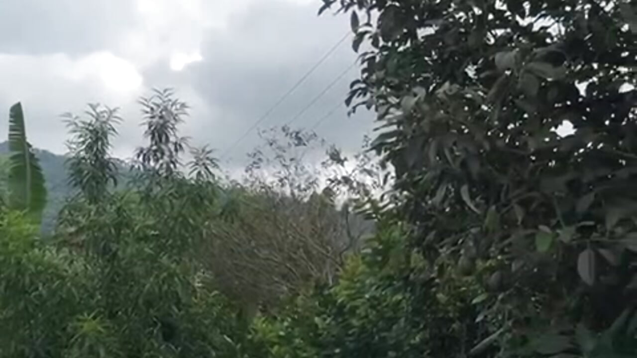 🌞nice morning🍀 - video by Irina_bx cam model