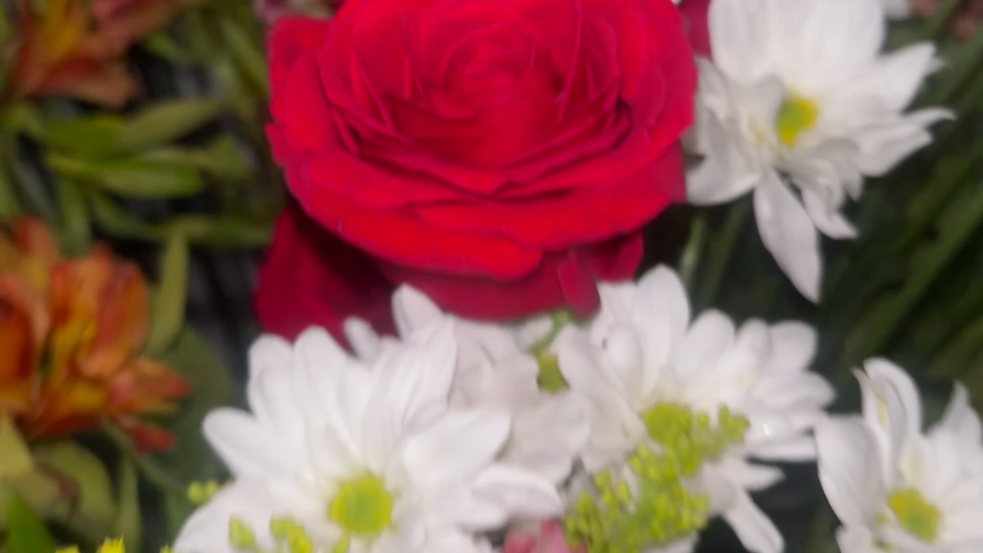Welcome to the 30th! ❤️ thank you for your love messages! - video by Irina_bx cam model