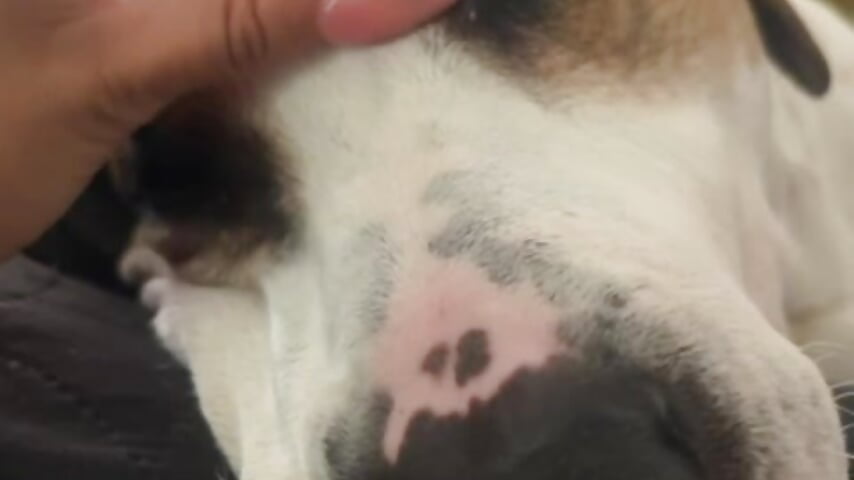 ❤️‍🔥Happy Sunday❤️‍🔥 - video by Irina_bx cam model