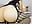 Ride cock black - video by andreina26_ cam model