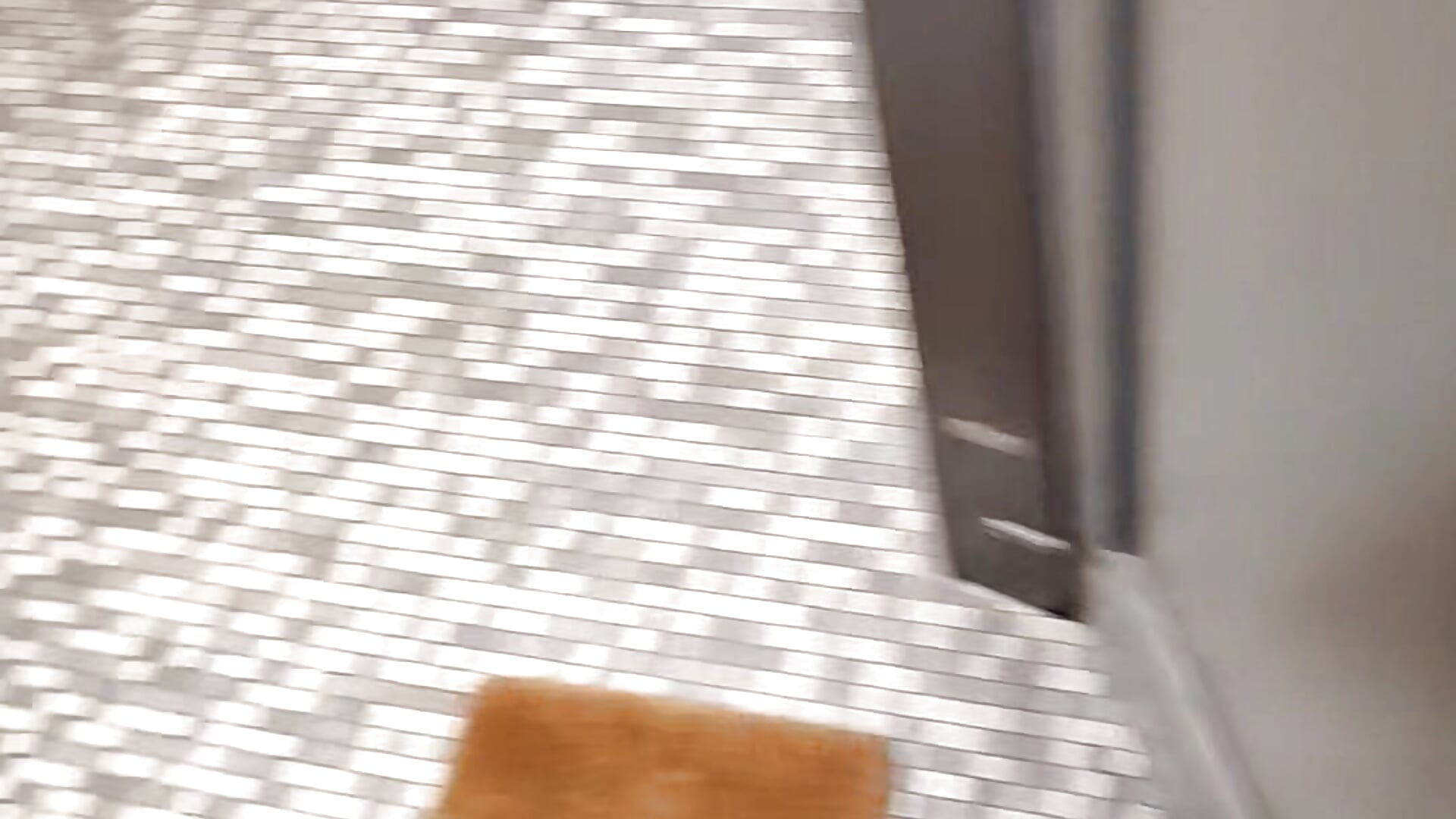 Je sors devant ma porte d'entrée me branler 🤭🤫 - trixx382 캠 모델의 동영상