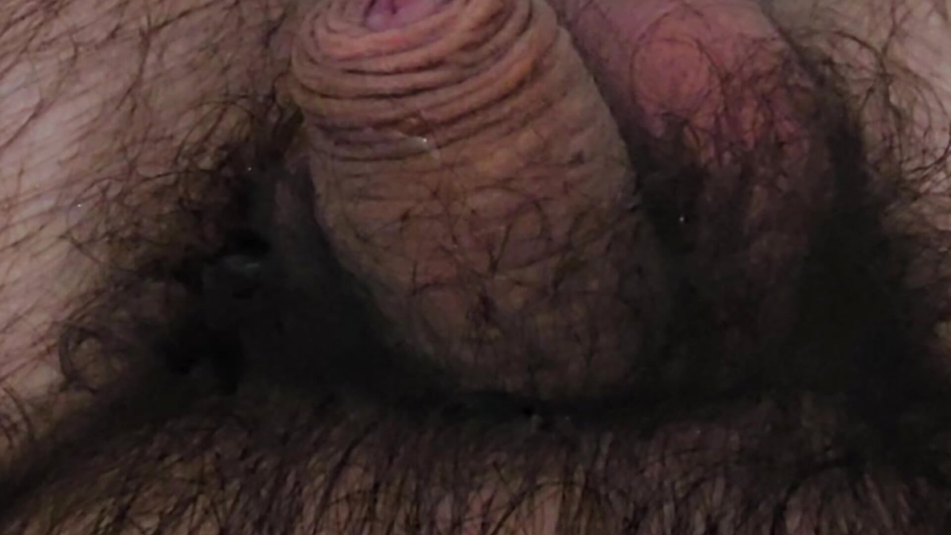 20230705_000917 - video by polla_calientes47 cam model