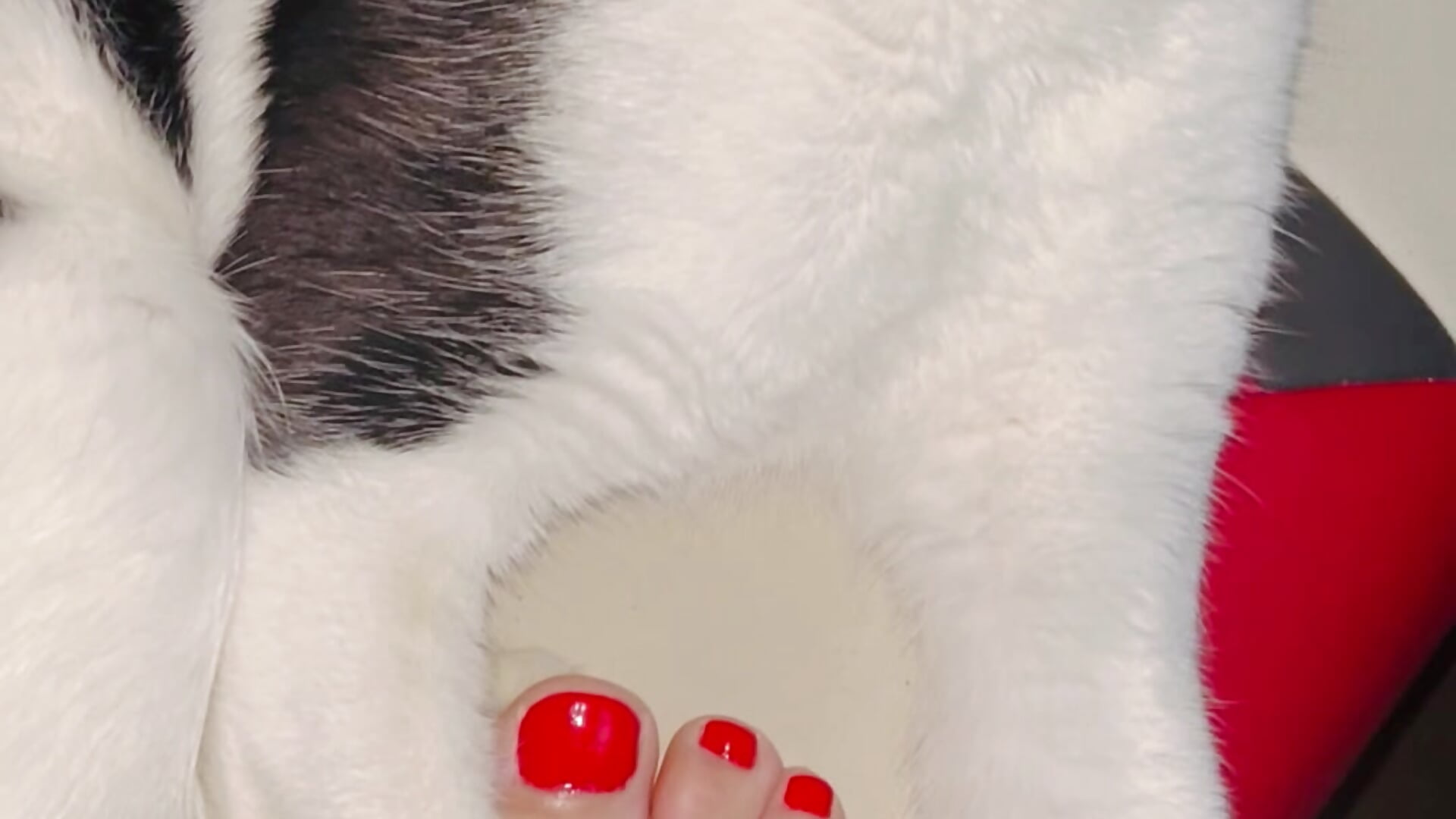 Sadomaso WTH xD🔞 - video LadyTatiana_Annabelle kameramallilta