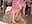 Riding you😘 - video di caseykey modella di cam