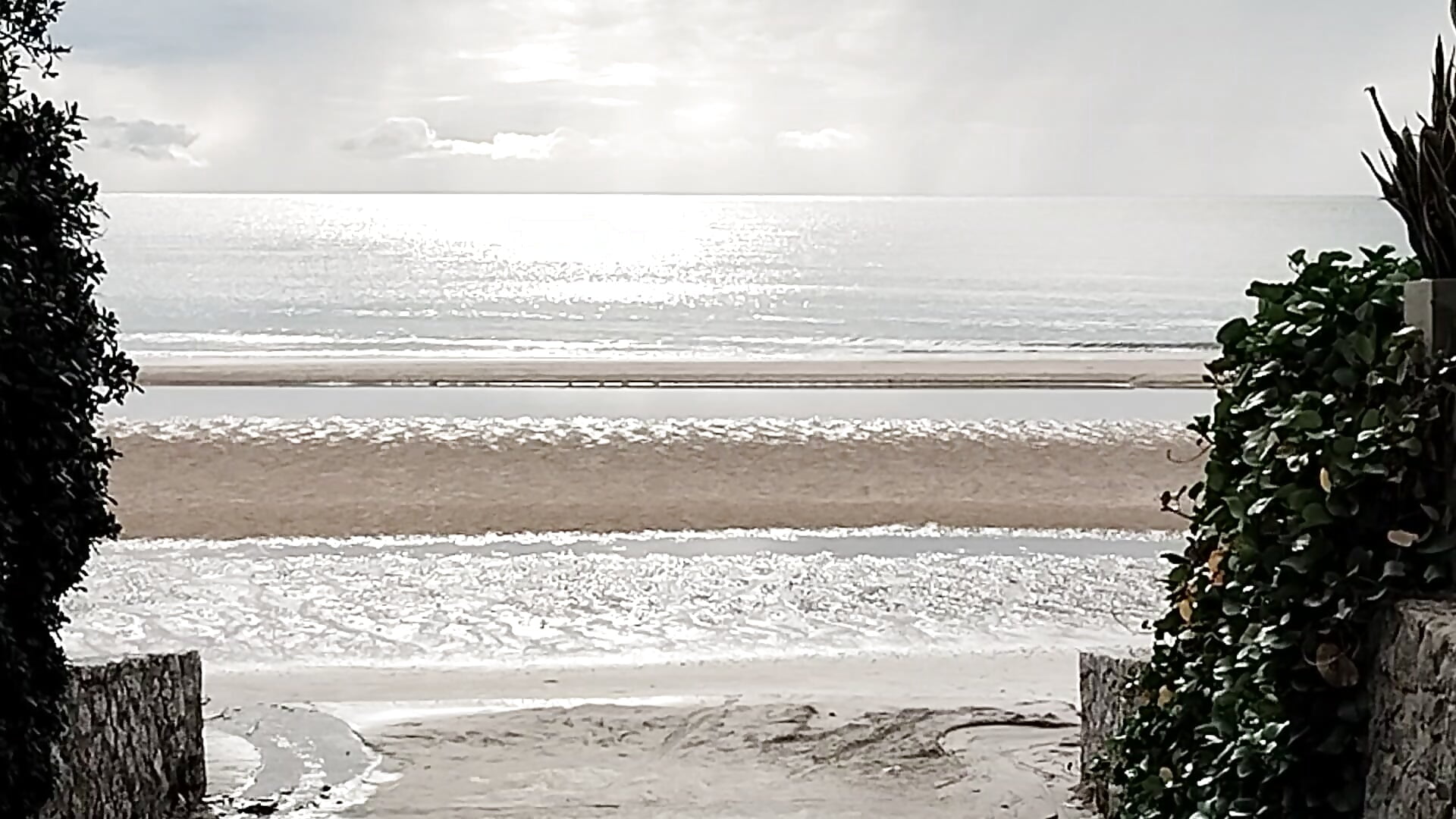 1000070262 - video oleh model kamera Nemosobig