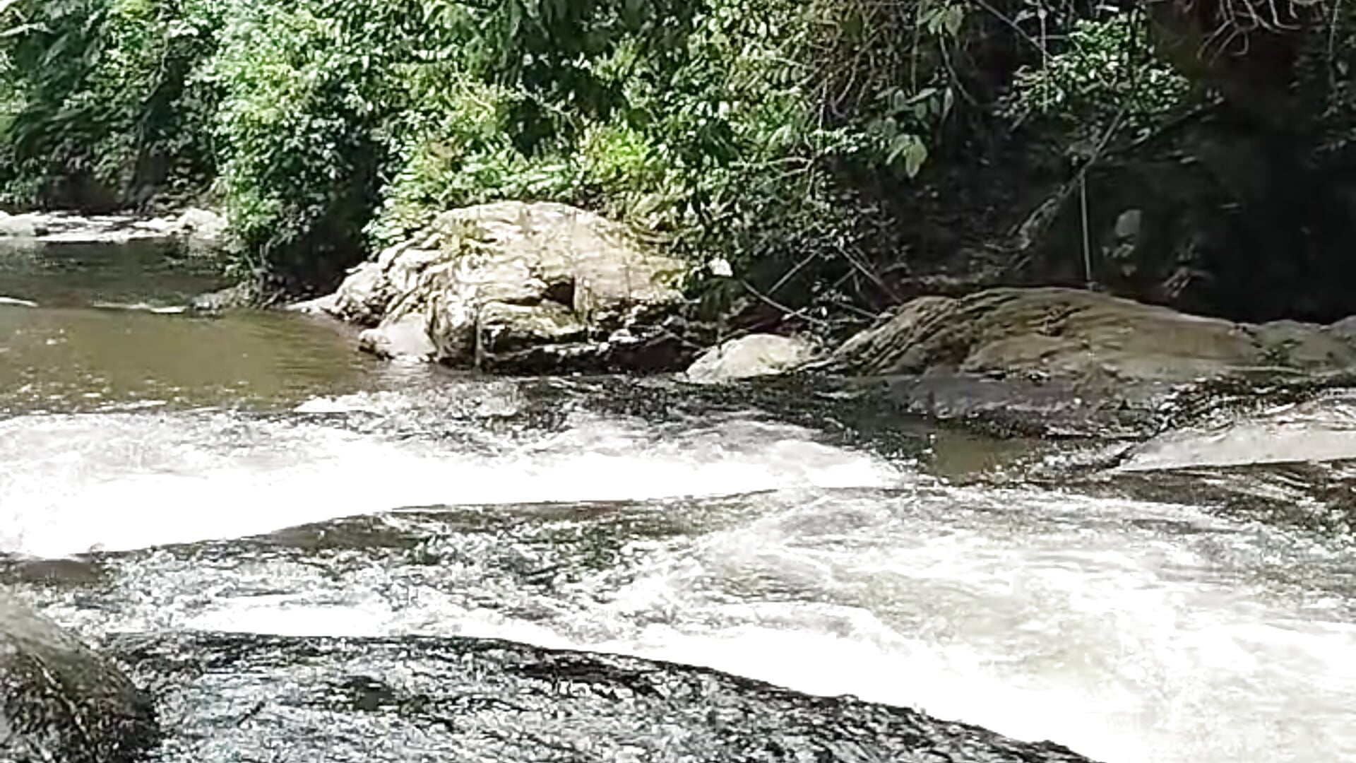 1000069601 - video oleh model kamera Nemosobig