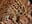Just look at the yummy food I prepared! - vídeo de AliceRisinka