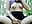 SQUIRT in park - clip cu Heart_Ass model videochat