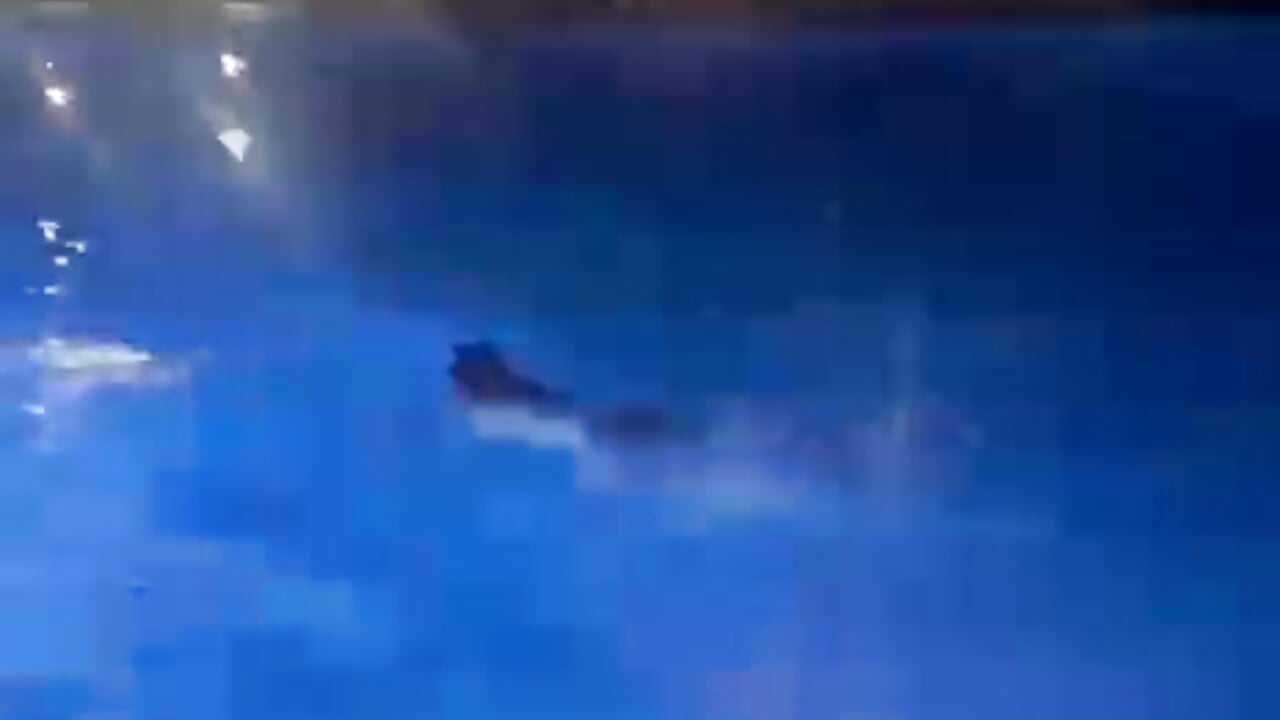 Can you imagine diving in with me? 😏 – video modela na kameri coralsmith11