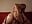 playing with my machine♥ - vídeo de coralsmith11
