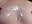 Tits with cream - vídeo de zara__sweet
