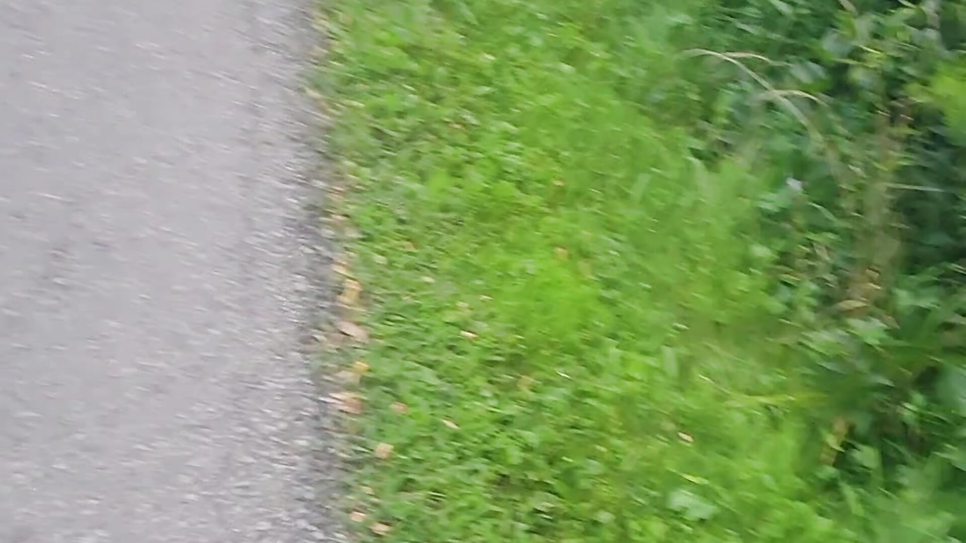 Lucy topless cartwheel
