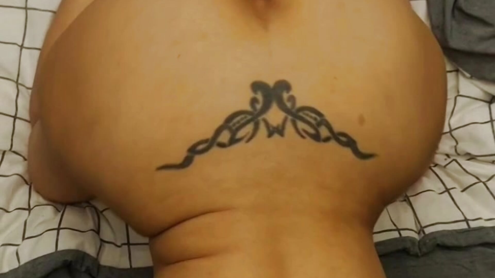 Ass 🍒 - Zarayuce主播的视频