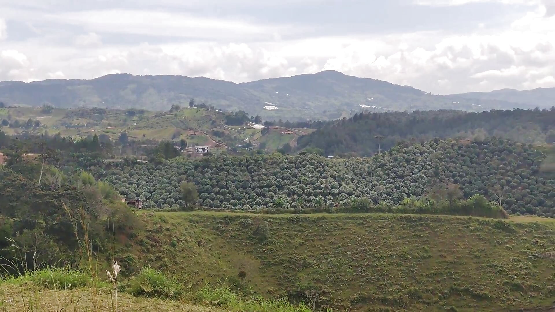 ANTIOQUIA #2