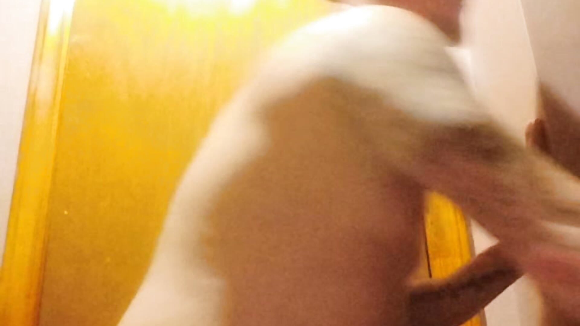 Bathroom Backshots w/ StepSis - video by Glokk-boi cam model