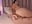 Playing with my tight butt 🍑 - video by Sarapalmer1 cam model