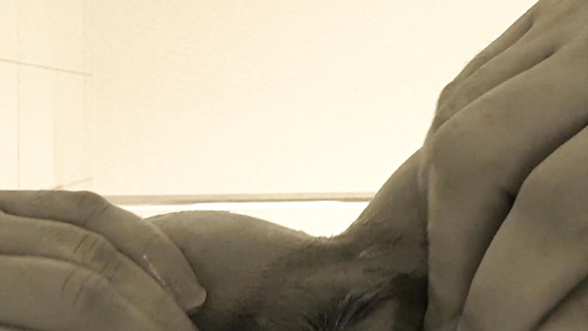 20180207_073132_1 — filmik Pegg-fist-me, modela(-lki) na kamerkach