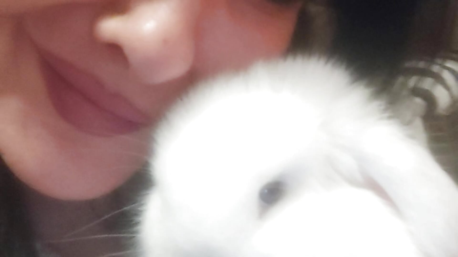 1000042865 - video by GracyJee cam model