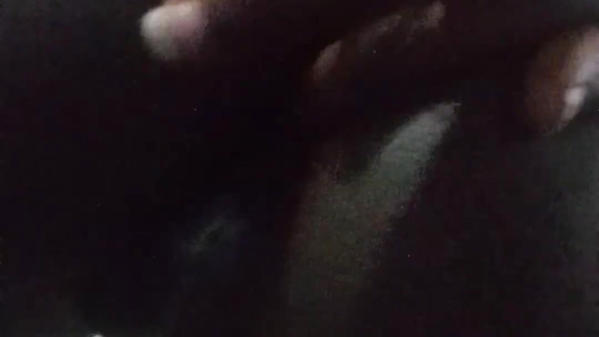 anal fingering - video by SeductiveDuo cam model