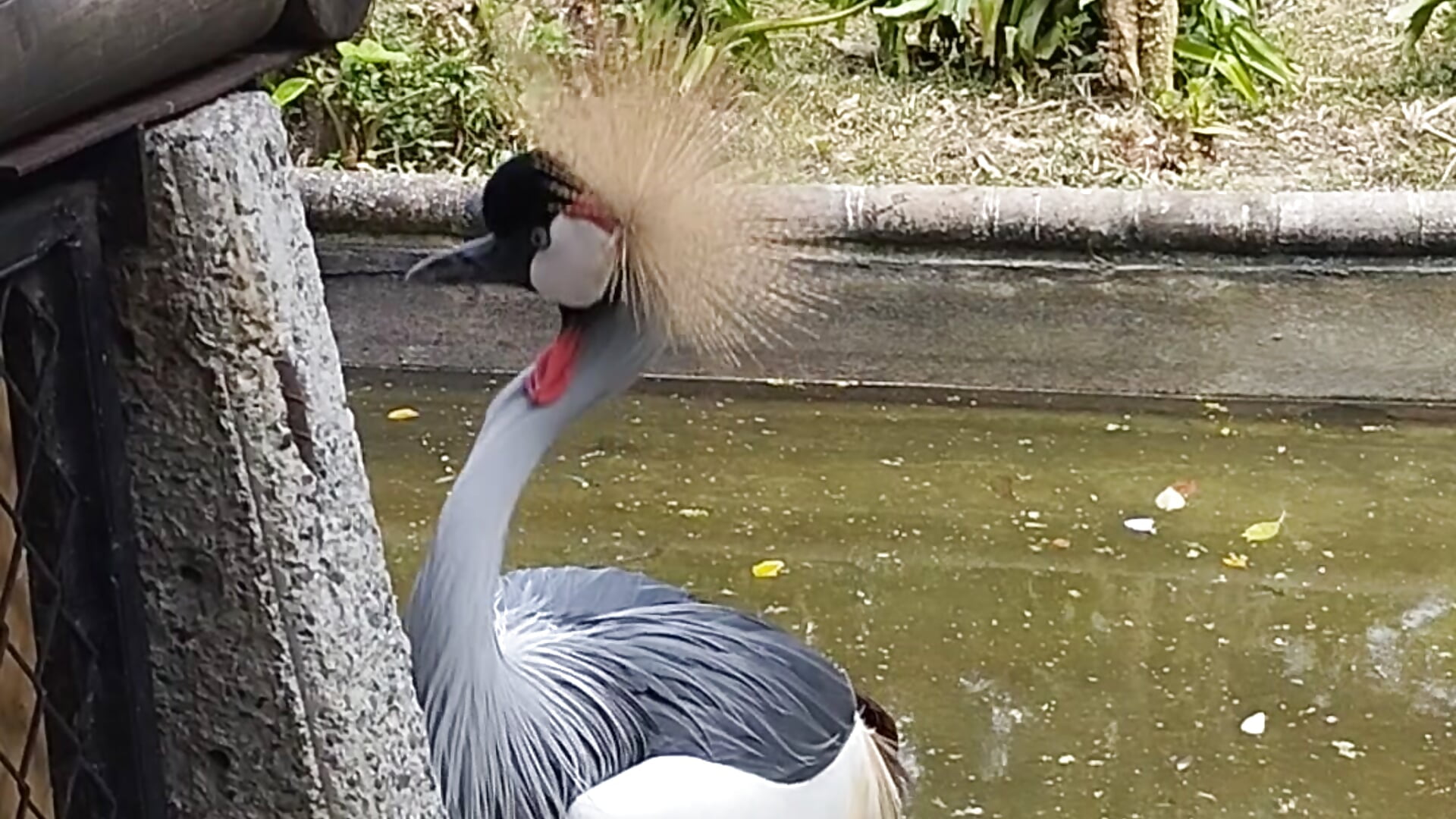 visiting the zoo