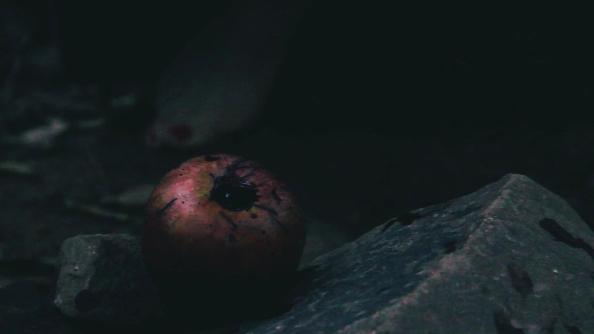 HALLOWEEN trailler - video by Nomadic_Angel cam model