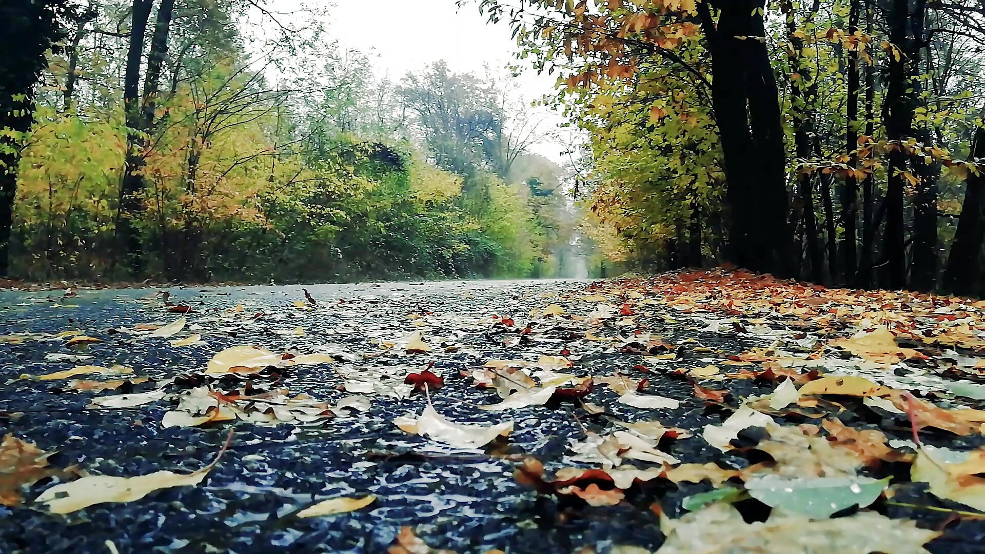 Rainy Day which I Really Like