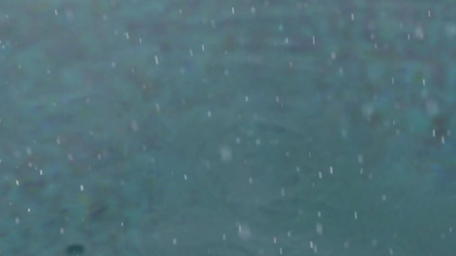 Enjoing In Rain