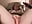 Use All Of My Dildos To Cum… - video by GingerSnap33 cam model