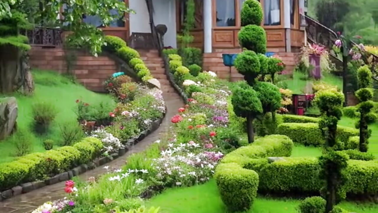 ♥️My Dream♥️– _abii_ kameramodell videója