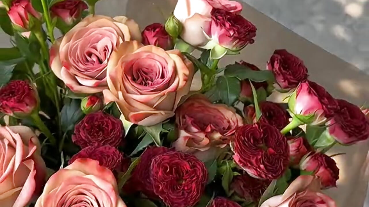 Most afraid when a habit becomes a memory– _abii_ kameramodell videója