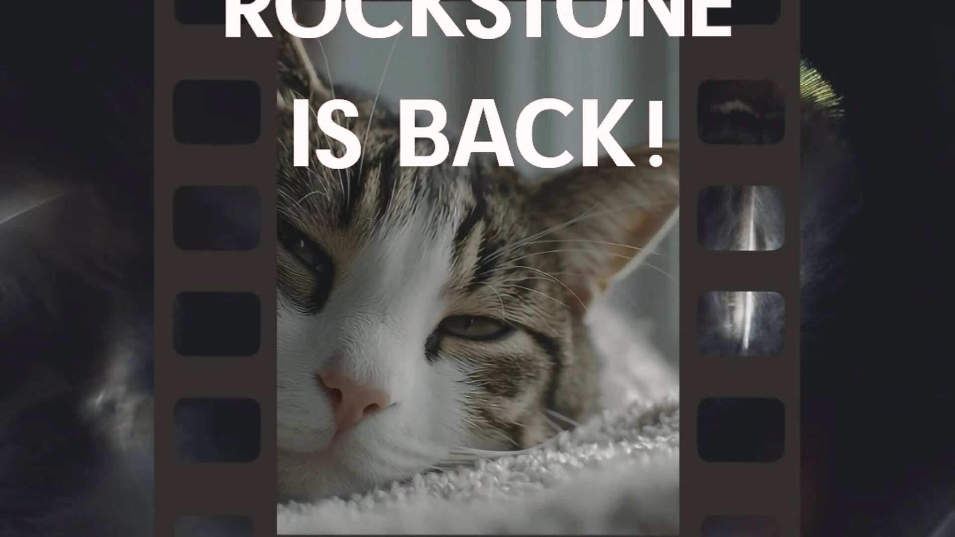 ERIN ROCKSTONE IS BACK! - clip cu RocKStone_ model videochat