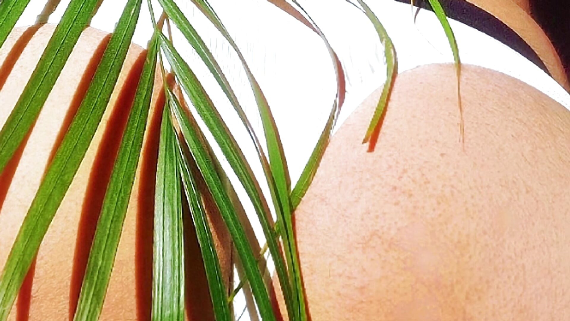 For friends - video by HungryAssActivDick cam model