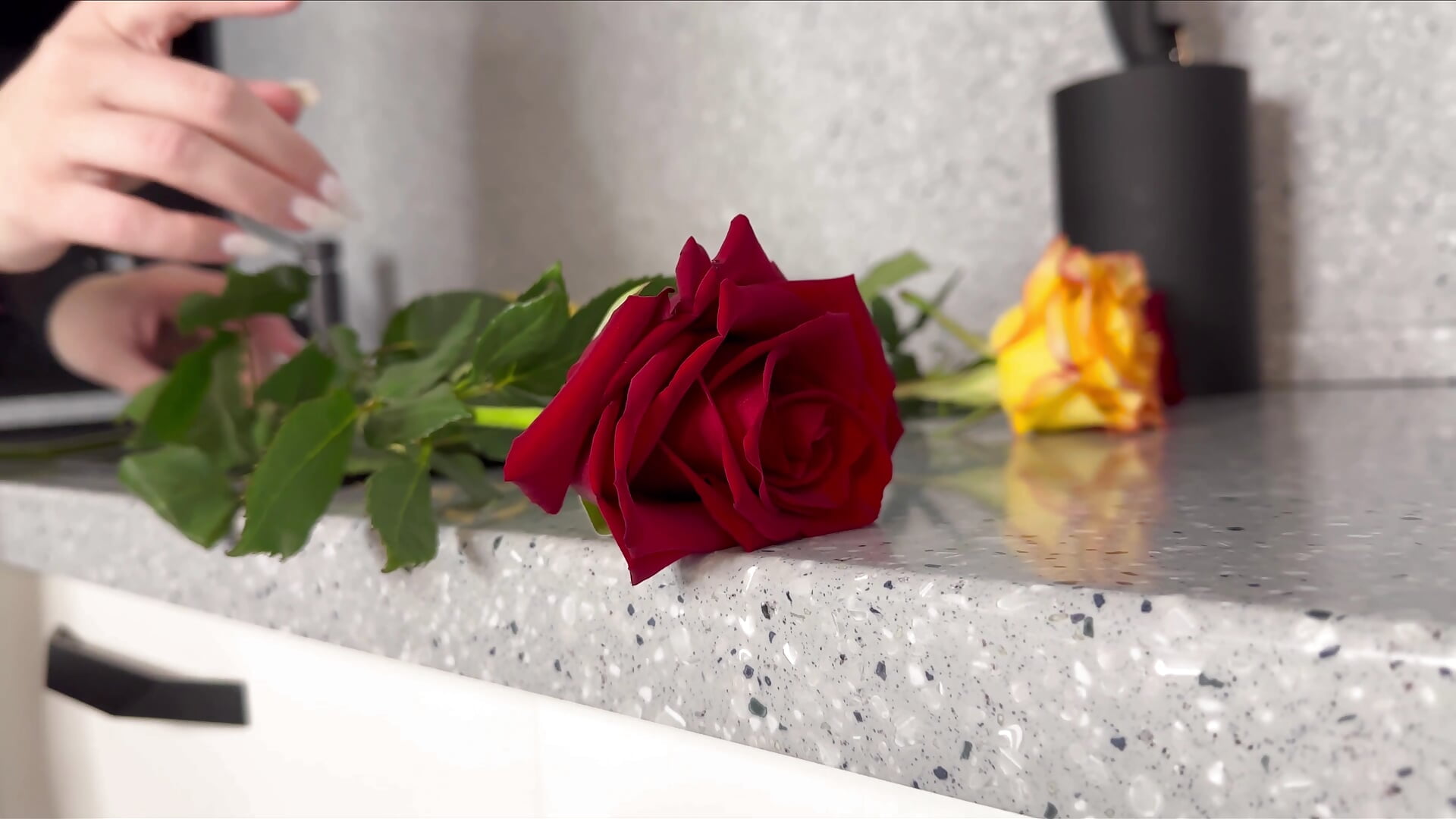 Rose ❤️ - Video von StacyHotty Cam-Model