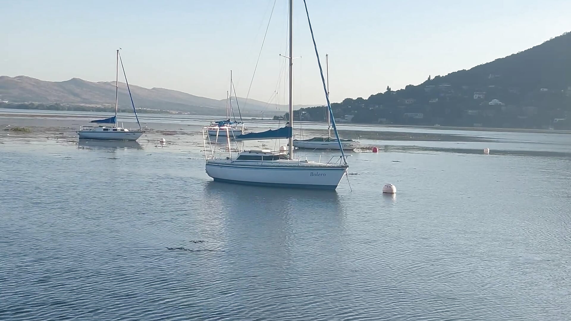 For freedom and peace - video by BlabbedMonkfish cam model